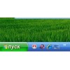 nyck.ru имя для сайта компьютерной тематики